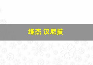 维杰 汉尼拔